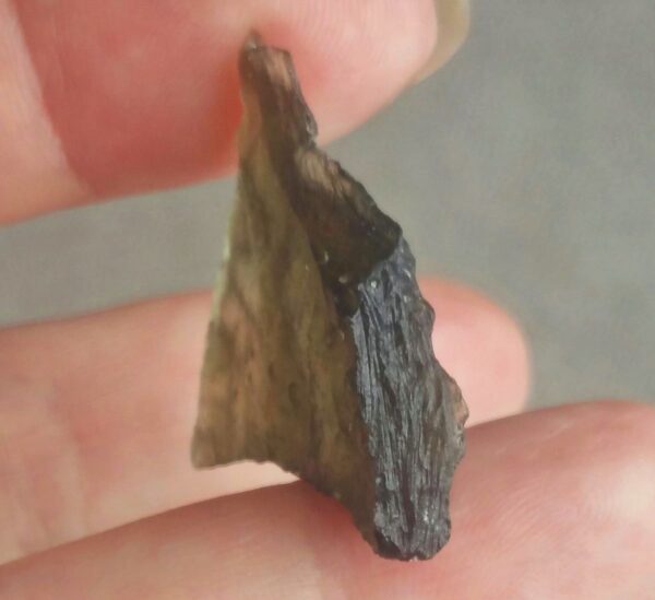 Czech Moldavite